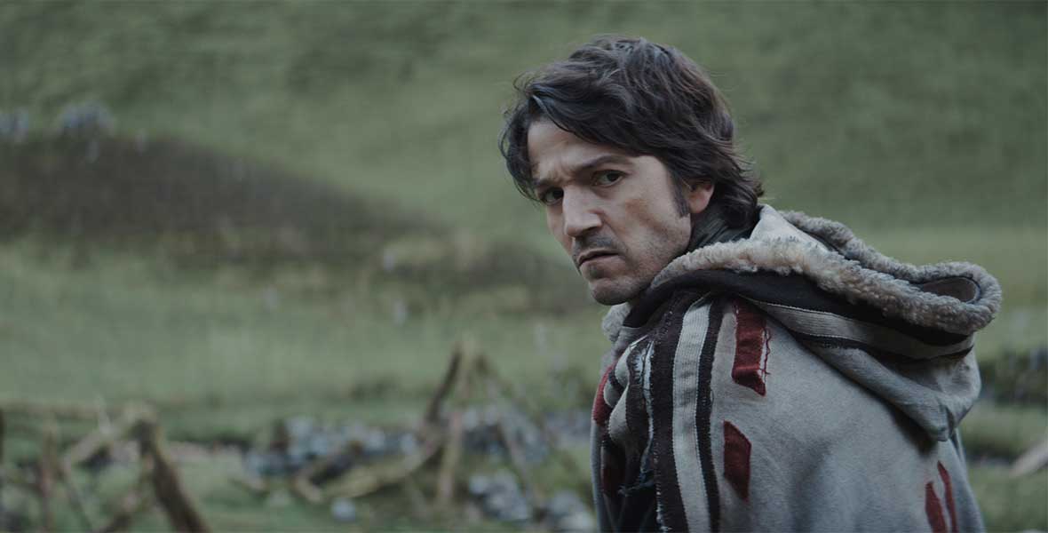 Cassian Andor stands in a green field, facing left but looking at the camera. He wears a warm jacket and a serious expression.