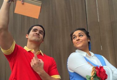 Beauty and the Beast fan costumes