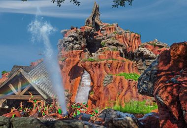 Splash Mountain at Magic Kingdom