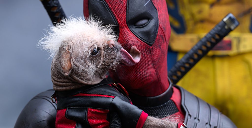 Meet Dogpool from Marvel Studios’ Deadpool & Wolverine