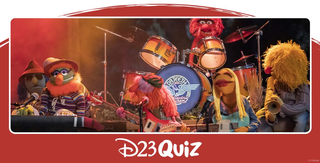Which “Musically Muppet” Member of The Electric Mayhem Are You?