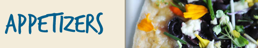 Appetizer Recipe Banner